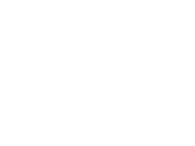 Kine-MAX logo